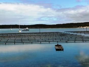 Longbeach Apartments Coffin Bay المظهر الخارجي الصورة